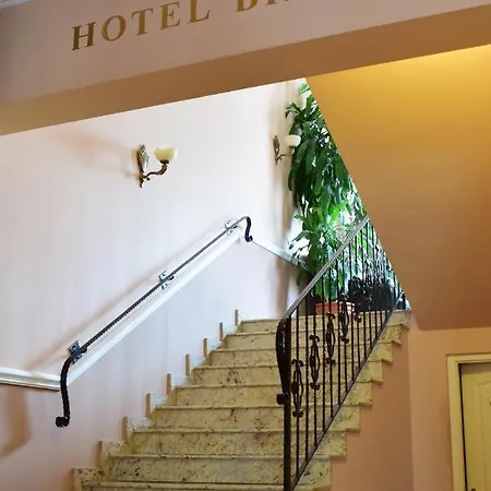 Hotel Bibic Es Tueskevar Etterem Es Horgaszto Nyiregyhaza
